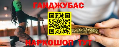 дмт Аргун