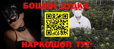 дмт Аргун
