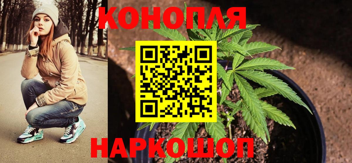 Бошки марихуана конопля  Вход с VPN  Верхний Уфалей  Канабис индика 